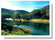 Munnar-Kerala